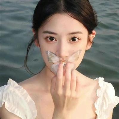 绽放的玫瑰